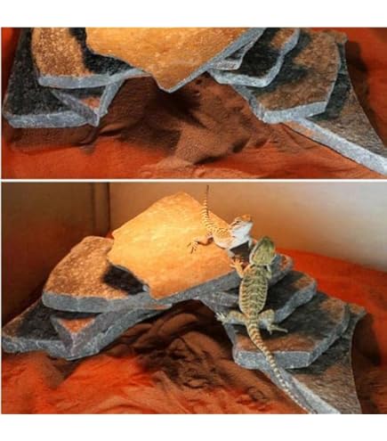 Amazon | 形状お任せ 爬虫類用バスキングスポット ～ウォーム